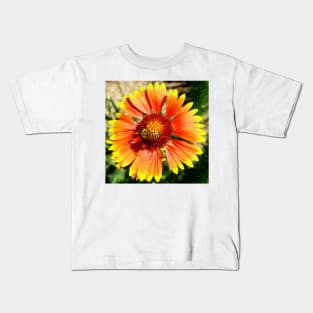 Orange and Red Gaillardia Prairie Flower with Bee Macro Kids T-Shirt